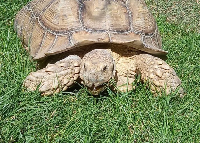 Unique Et Piscine Privative Dans Un écrin De Verdure Casa vacanze *