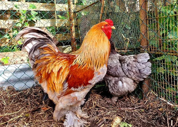 Unique Et Piscine Privative Dans Un écrin De Verdure