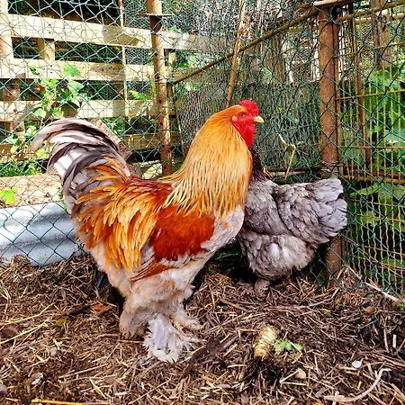 Unique Et Piscine Privative Dans Un Ecrin De Verdure